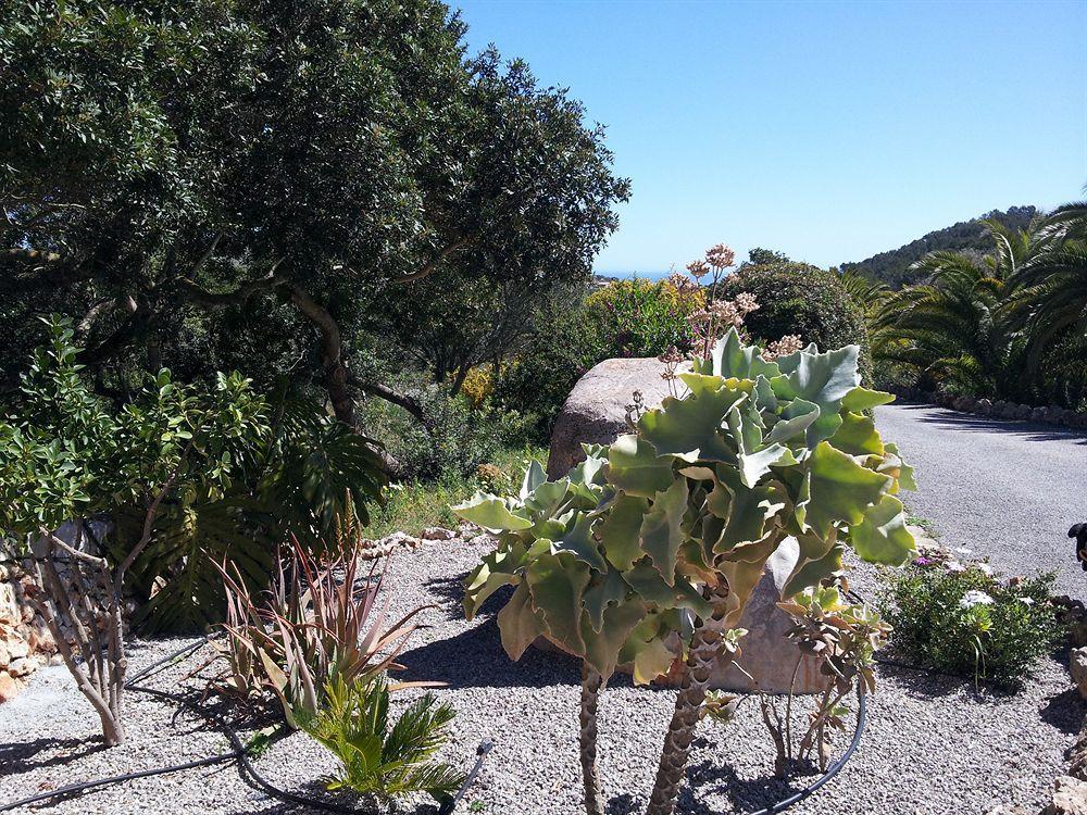 Agroturisme Es Picot Son Macia  Εξωτερικό φωτογραφία