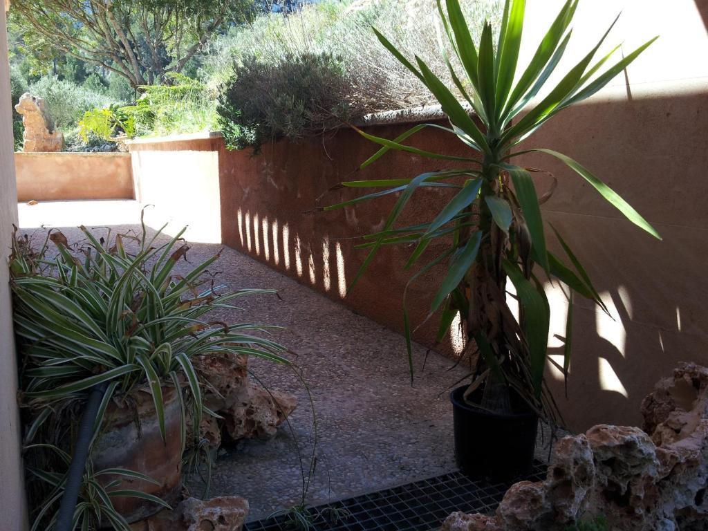 Agroturisme Es Picot Son Macia  Δωμάτιο φωτογραφία